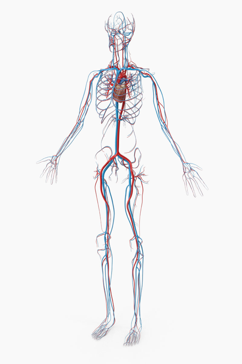 Trattamenti per la cura di patologie di natura cardiovascolare